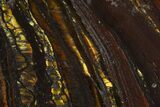 Polished Tiger Iron Stromatolite - Billion Years #129200-1